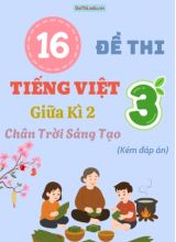 Tuyển tập 16 Đề thi giữa học kì 2 môn Tiếng Việt Lớp 3 Chân Trời Sáng Tạo (Kèm đáp án)